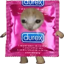 durex_car