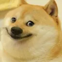 dodgesmile