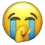 cry