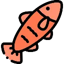 :salmon: