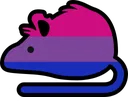 bisexual_rat