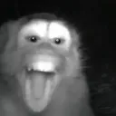 ok