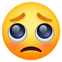 pleading