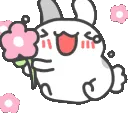 BCAHappyHops