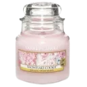 01pinkcandle