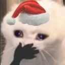 SantaOhMyCat