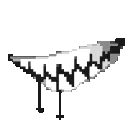 bite
