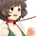 happycollaredpet