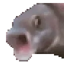 Pogfish Pogfish