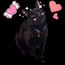 rauruchurulove