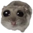 smol