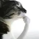 lemmethink