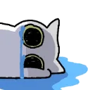 kittysob