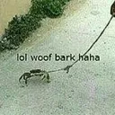 e84dade44071f4d943cf85cd34d6e0ad