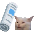 bonkcat