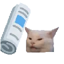 bonkcat