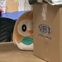 rowlet