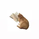 catreading