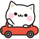 cat_car