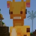 giraffe_stare