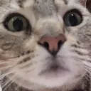 emoji_1