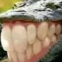 xddddd xddddd