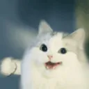 siballlllllllll siballlllllllll