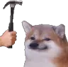 bonking
