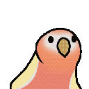 Bourke_Parrot_Yellow Discord emoji