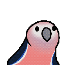 Bourke_Parrot Discord emoji