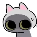 Cat_Sweat Cat_Sweat