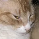 Nixon_Side_eye