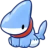 shark_sit