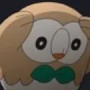 rowlet_panic