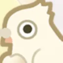 coo
