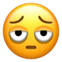 bro_are_u_srs
