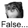 false