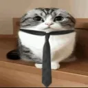 Indubitably