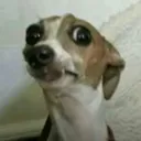 ouuu ouuu