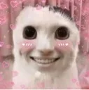 happycat
