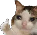 cat_sad_thumbs_up