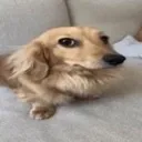que