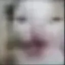AAAAAAAAAA