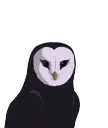 Avatarowl Avatarowl