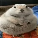 mrtubby311