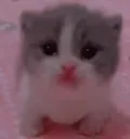 Scared