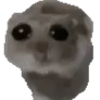 hamster_sad