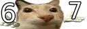 67 67
