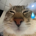 :catxamlozquadelbitnoijlun:
