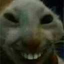xdd xdd